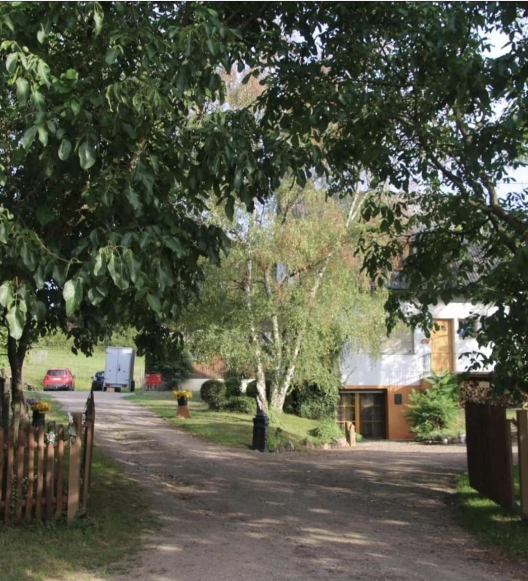 Sometimes Zimmer Gehaichnishof 7Born Maring-Noviand Kültér fotó